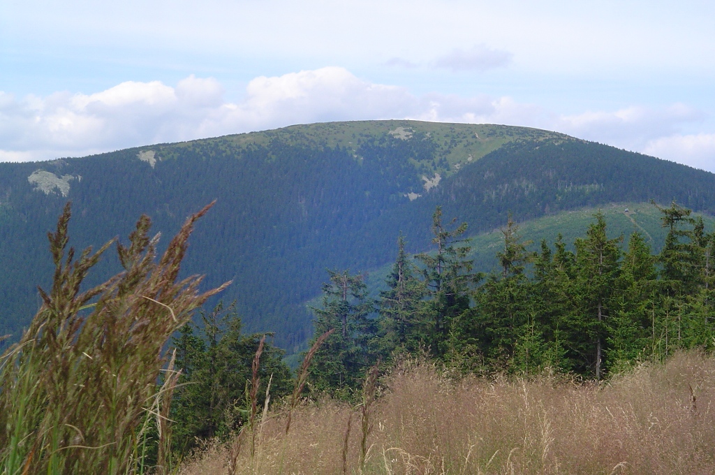 Pohled na K. Sněžník z Uhliska 1240 m.n.m.JPG