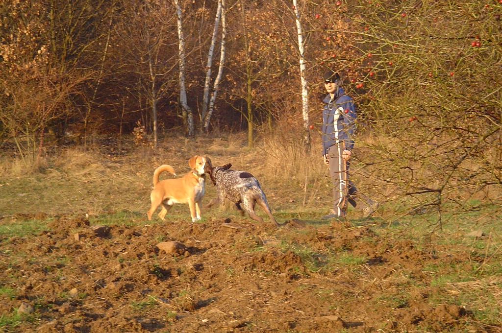 DSC04037.JPG
